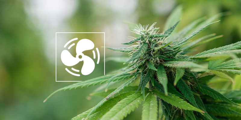 Jak předch&aacute;zet padl&iacute;