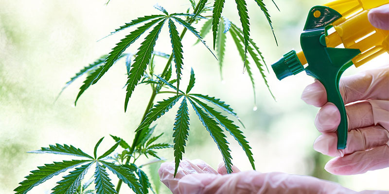 Či&scaron;těn&iacute; a prevence