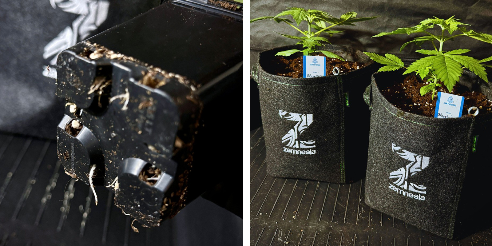 Preventing rootbound in the future