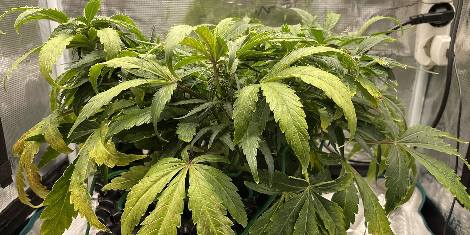 Co se stane, když to neoprav&iacute;te?