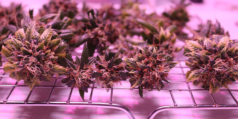 Použit&iacute; su&scaron;ic&iacute;ho z&aacute;věsn&eacute;ho syst&eacute;mu