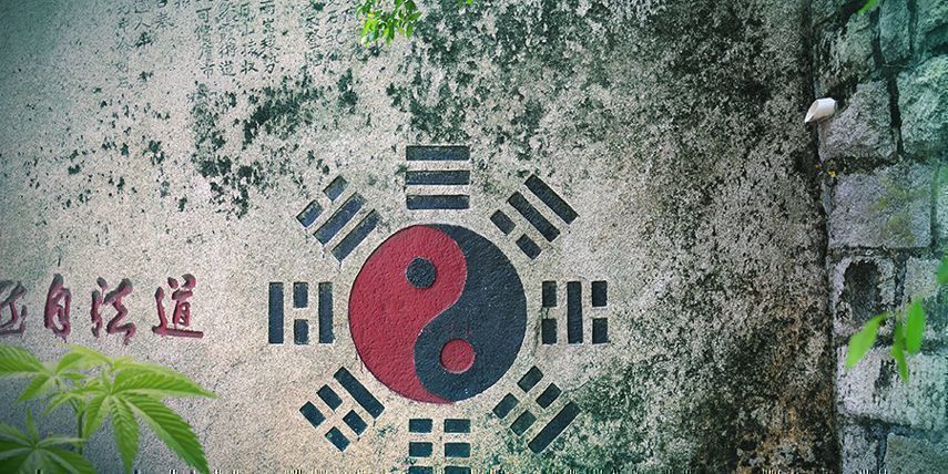 Jin, jang a konop&iacute;