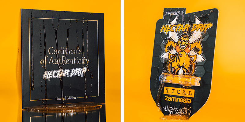 Growing Nectar Drip: Speedy Life Cycle