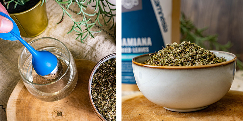 Damiana | Turnera afrodisiaca