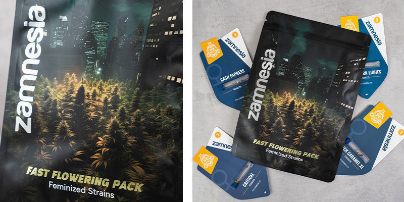 Fast Flowering Pack – feminizované odrůdy