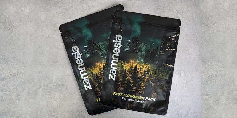 Fast Flowering Pack – feminizované odrůdy