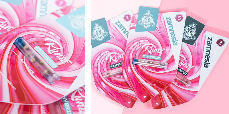 Runtz F1 Autoflower (Zamnesia Seeds) Feminized