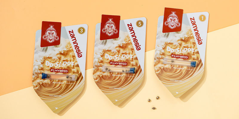 Do-Si-Dos F1 Autoflower (Zamnesia Seeds) Feminized