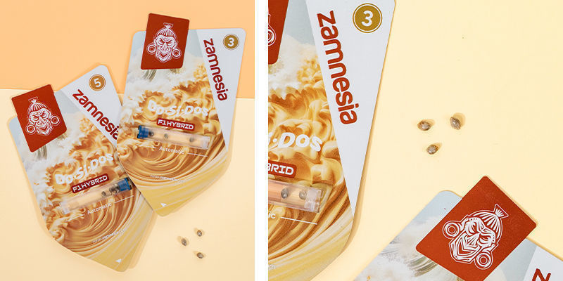 Do-Si-Dos F1 Autoflower (Zamnesia Seeds) Feminized