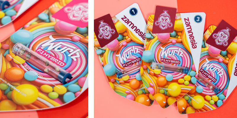 Wurlz F1 Autoflower (Zamnesia Seeds) Feminized