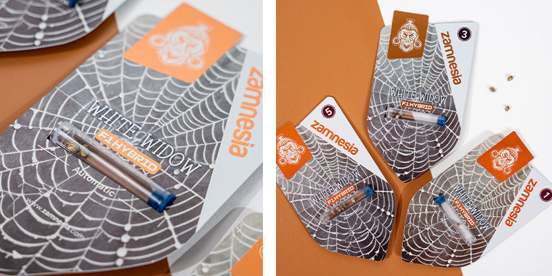 White Widow F1 Autoflower (Zamnesia Seeds) Feminized