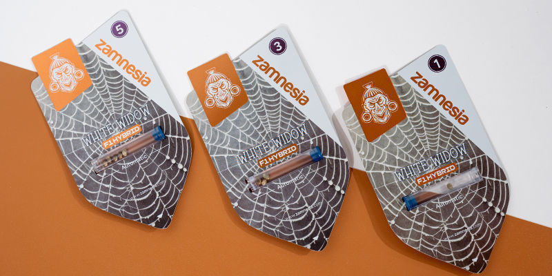 White Widow F1 Autoflower (Zamnesia Seeds) Feminized