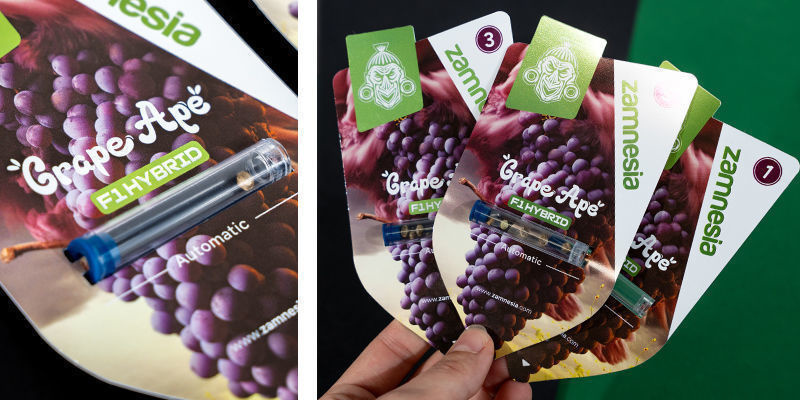 Grape Ape F1 Autoflower (Zamnesia Seeds) Feminized