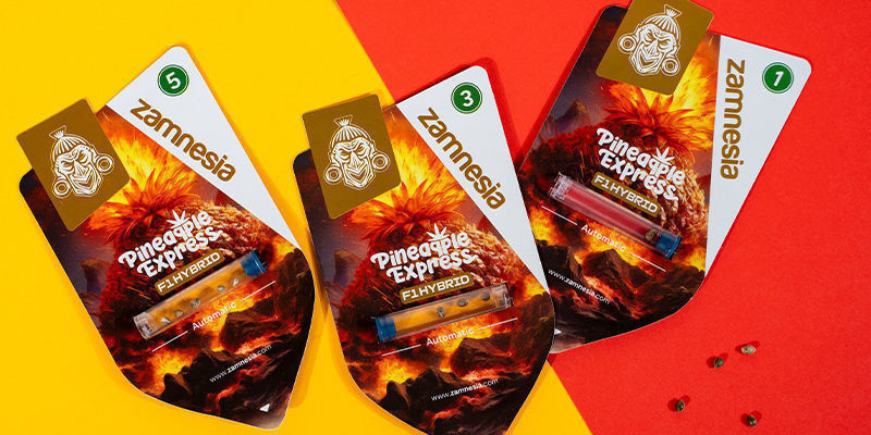 Pineapple Express F1 Autoflower (Zamnesia Seeds) Feminized