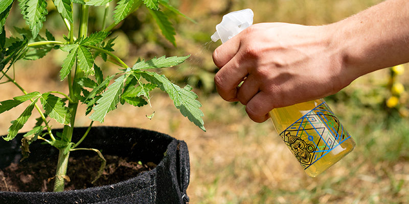 Rozprašovací láhev Zamnesia