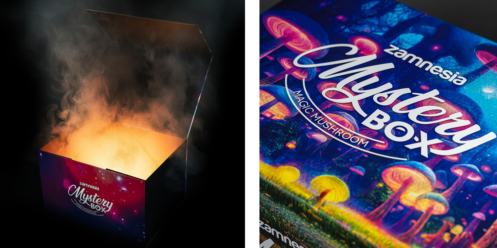 Magic Mushroom Mystery Box: The Ultimate Zamnesia Experience