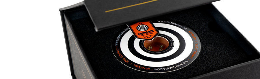 Intergelatic Kush Box (Zamnesia X Kannabia)