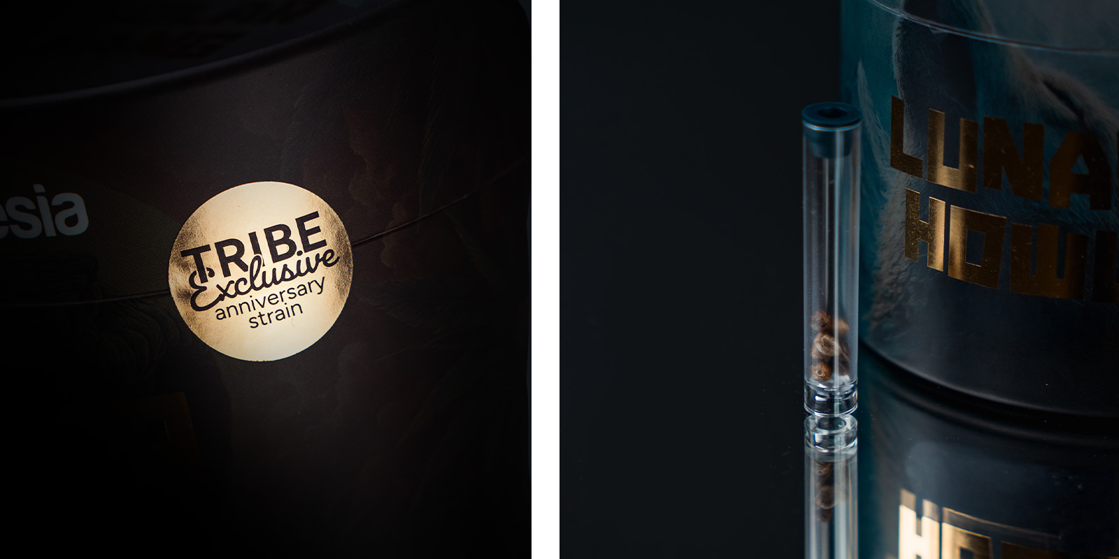 Aromas, Flavours, and Effects of Lunar Howl: A Stinky, Gassy, Candy Delight