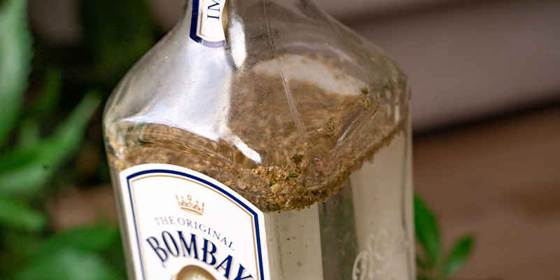 Nadržený rostlinný materiál nasypte do láhve s ginem