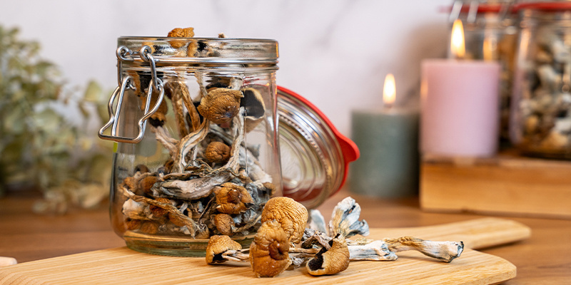 Výběr správných hub na horkou čokoládu