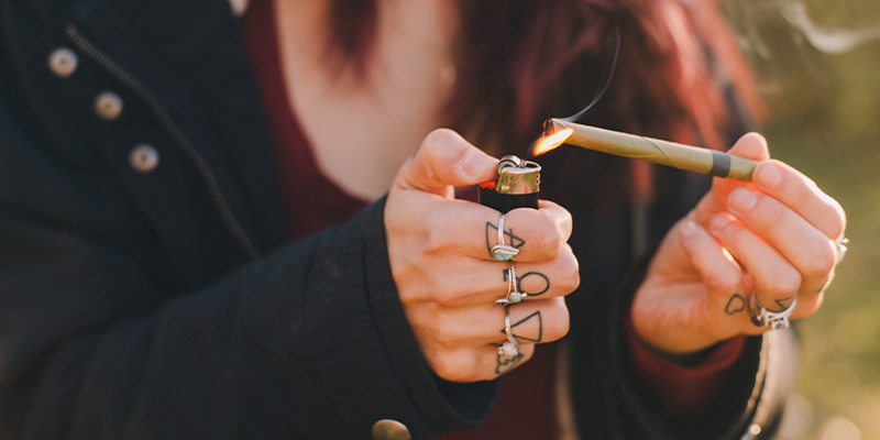 Do divočiny: Va&scaron;e zelen&aacute; cesta pokračuje