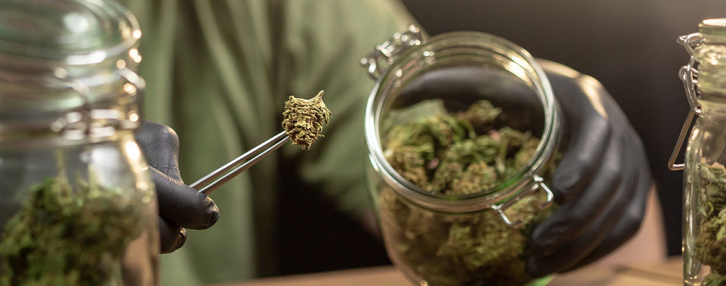 Jak správně skladovat trávu