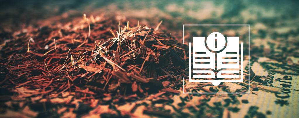 Catuaba: Vše, co potřebujete vědět