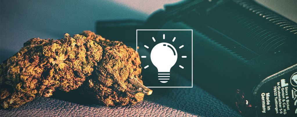 Průvodce pro začátečníky: Co je vaporizér na sušené bylinky a jak ho používat