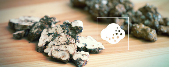 Jak fungují magické lanýže?