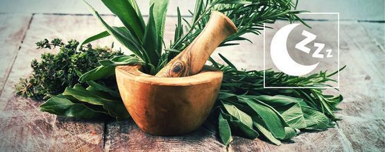 Nejlepší přírodní bylinky na podporu spánku