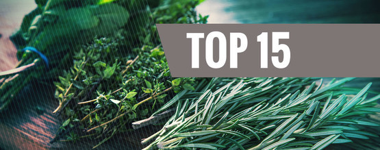 Nejlepší legální bylinky do vaporizéru