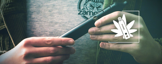 Jak fungují vaporizéry na trávu?