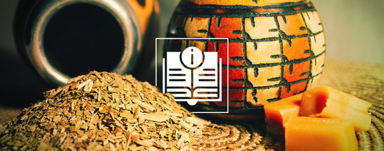 Yerba maté: prastarý nápoj nabitý živinami