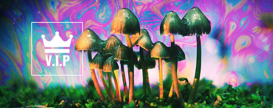 VIP osobnosti psychedelik