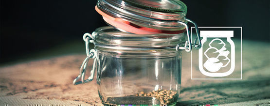 Jak nejlépe skladovat semena konopí?