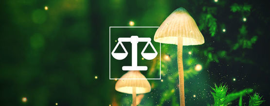 Jak bezpečně vážit a dávkovat psychedelika