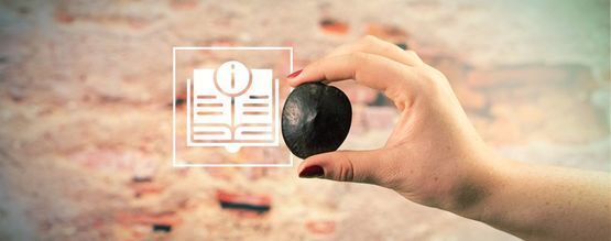 Africká snová semena: Vše, co o nich potřebujete vědět