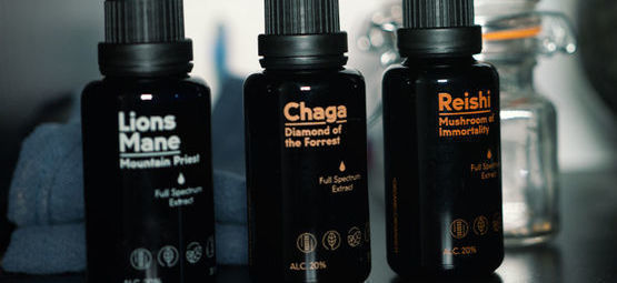 Informace o houbových tinkturách