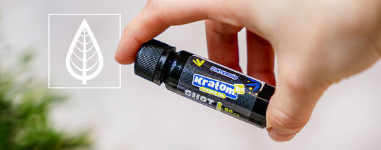 Různé druhy produktů z kratomu vysvětleny