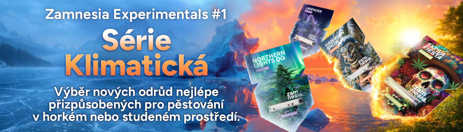 Experimentals CZx1_offer