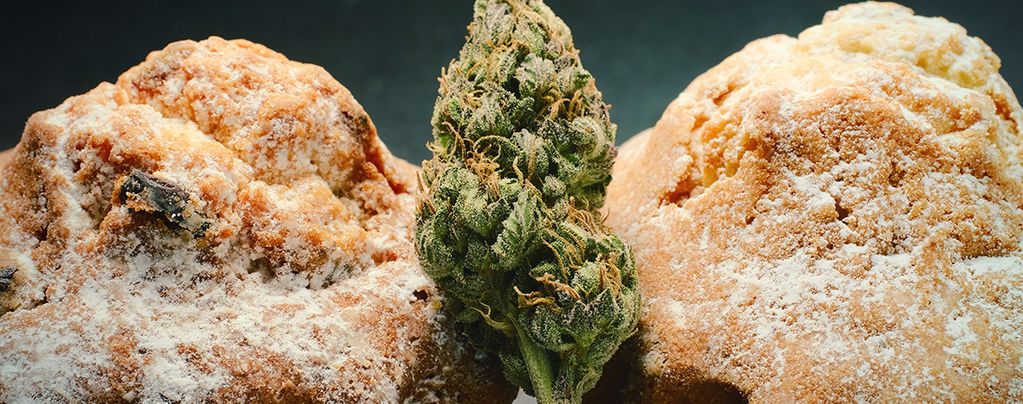 Nizozemská renesance konopných poživatin