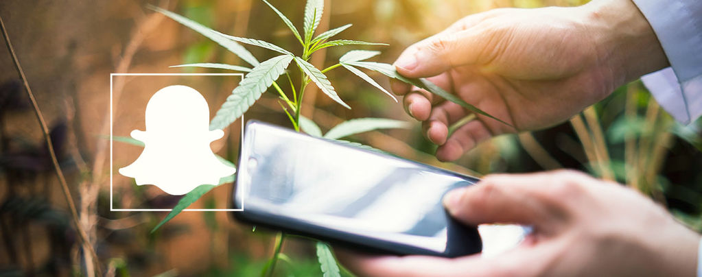 Cannabis Accounts Snapchat
