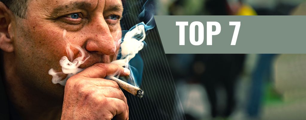 7 odrůd konopí ideálních pro zvýšení motivace a produktivity