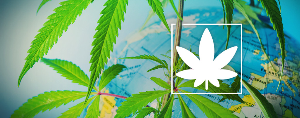 Smoke Cannabis Legally In Europe