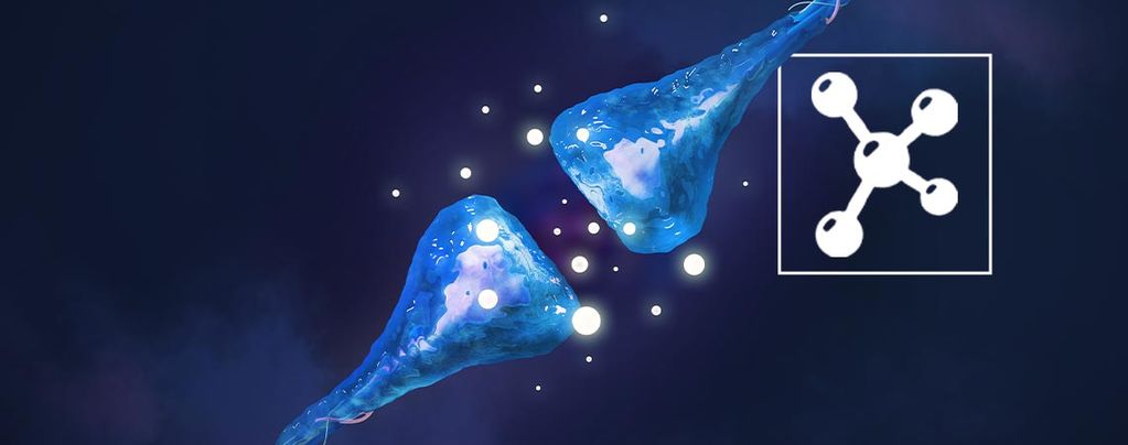 What Is The Endocannabinoid System?