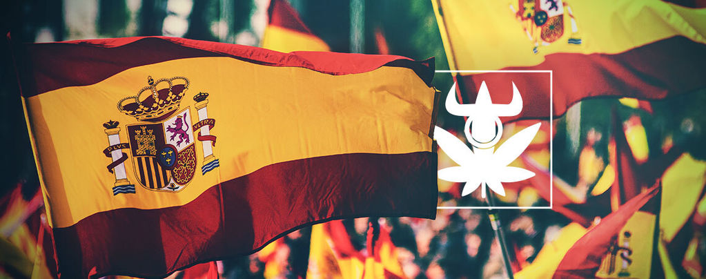 Top 10 Spanish Cannabis Club Strains