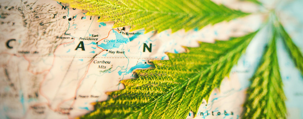 Which Countries Smoke Most Weed