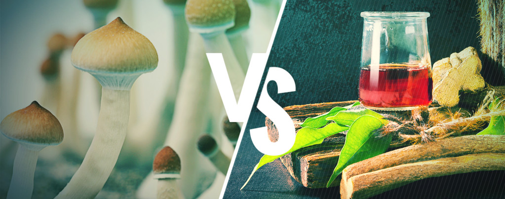 Ayahuasca vs Magic Mushrooms