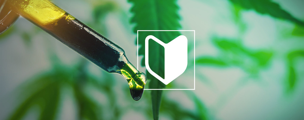 Concentrates Perfect For Newbies