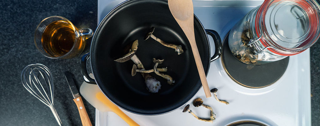 Desetidenní houbový půst: Cesta do nitra duše